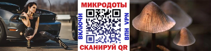 Купить  Кедровый  Псилоцибиновые грибы мухоморы 